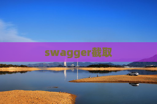 swagger截取