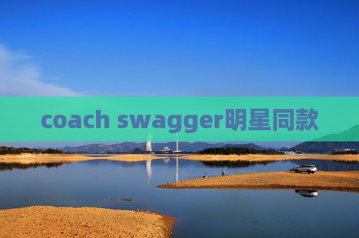 coach swagger明星同款
